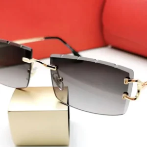 Wired Big C Sunglasses with Dark Lens – 2025